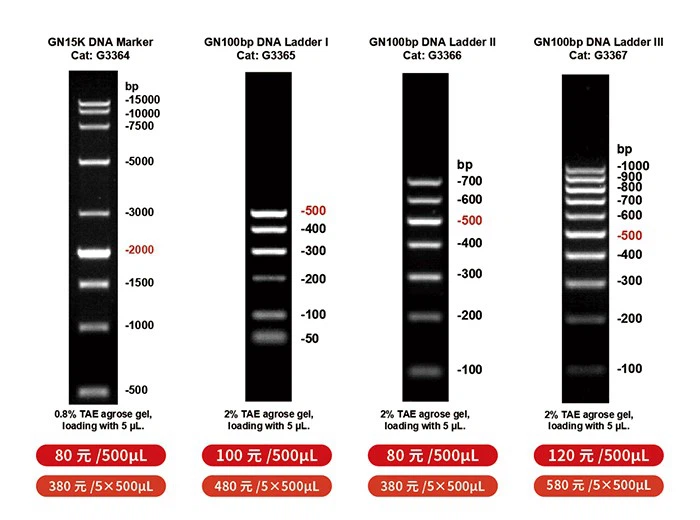 1647398073936974251 (1)