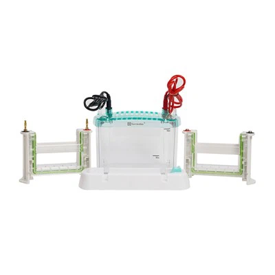 4-Sistem Elektroforesis Vertikal Gel
