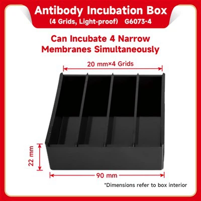 Kotak Inkubasi Antibodi (4 Grid Tahan Cahaya)