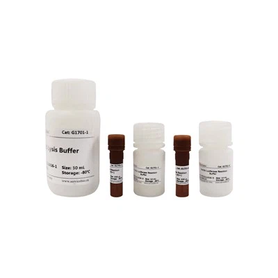 Kit Uji Gen Reporter Dual-Lumi Dual-Luciferase