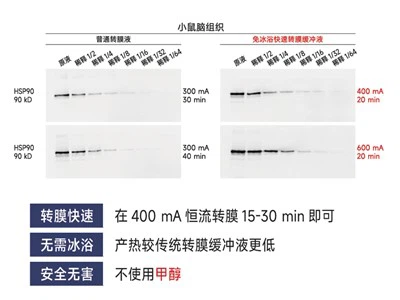 Buffer Transfer Cepat Gratis Ice-bath (Bubuk)