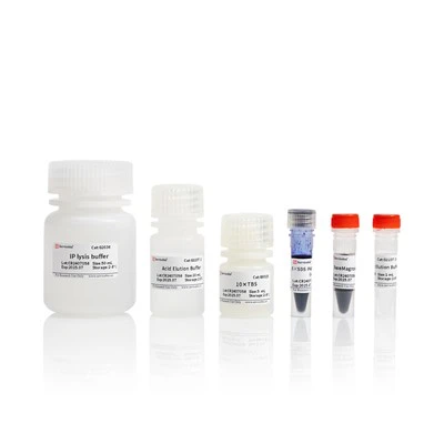 Kit Imunopresipitasi (Manik-manik Magnetik Protein A/G)