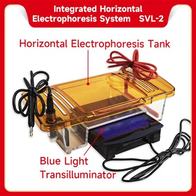 Sistem Elektroforesis Horisontal Terintegrasi
