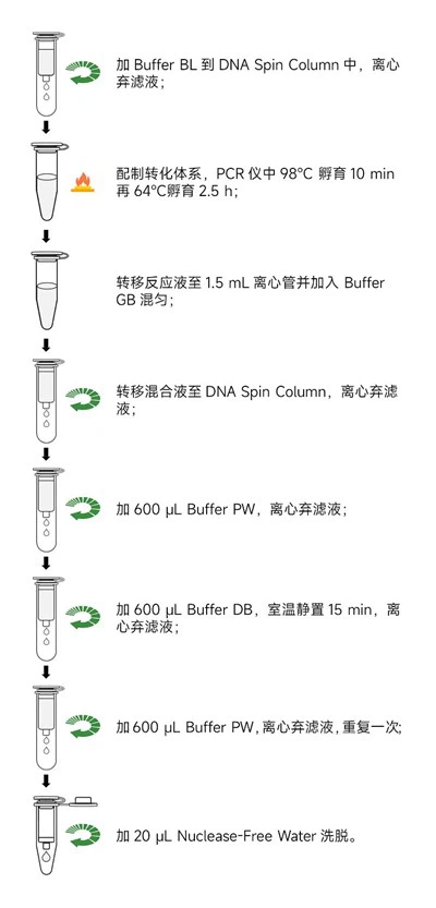 Kit Konversi DNA Bisulfit MethylGold