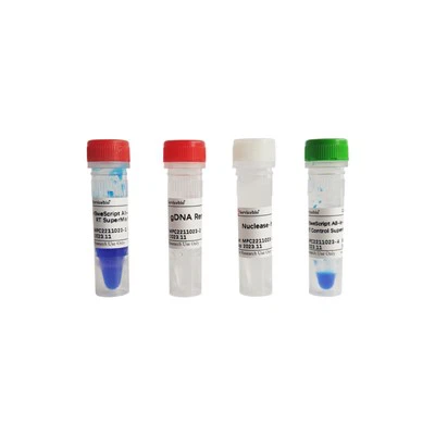 SweScript All-in-One Blue RT SuperMix Untuk QPCR (Penghilang GDNA Satu Langkah)
