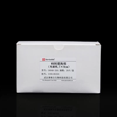 Spons Transfer WB (Bebas Kertas Filter, 70×90mm)