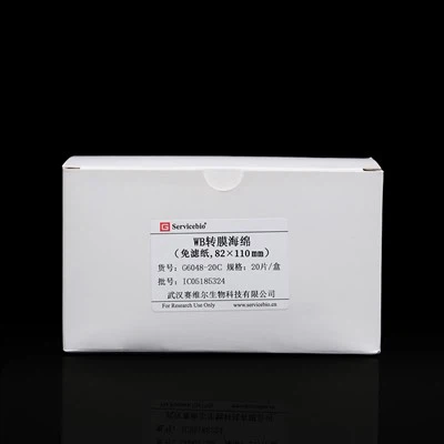 Spons Transfer WB (Bebas Kertas Filter, 82×110mm）