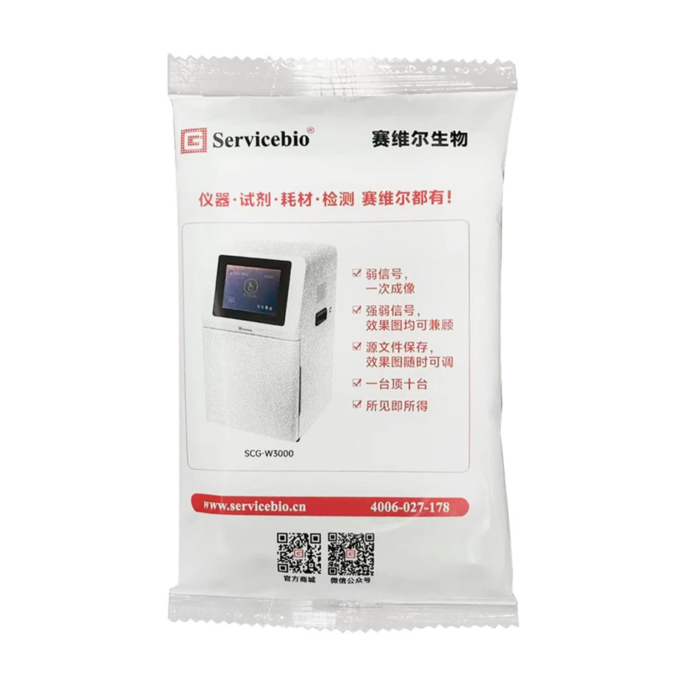 WB Transfer Sponge (Filter Paper-Free)